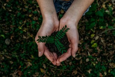 Person holding a small plant in their hands