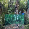 Montage of photos from Pop's woods, Love Lane, Bembridge