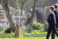 Ryde School pupils in springtime