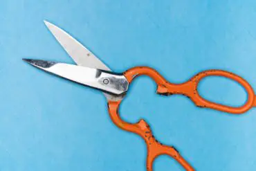 Open scissors with orange handle on blue background