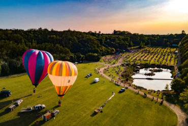 Hot air balloons at robin hill by IOW Drone