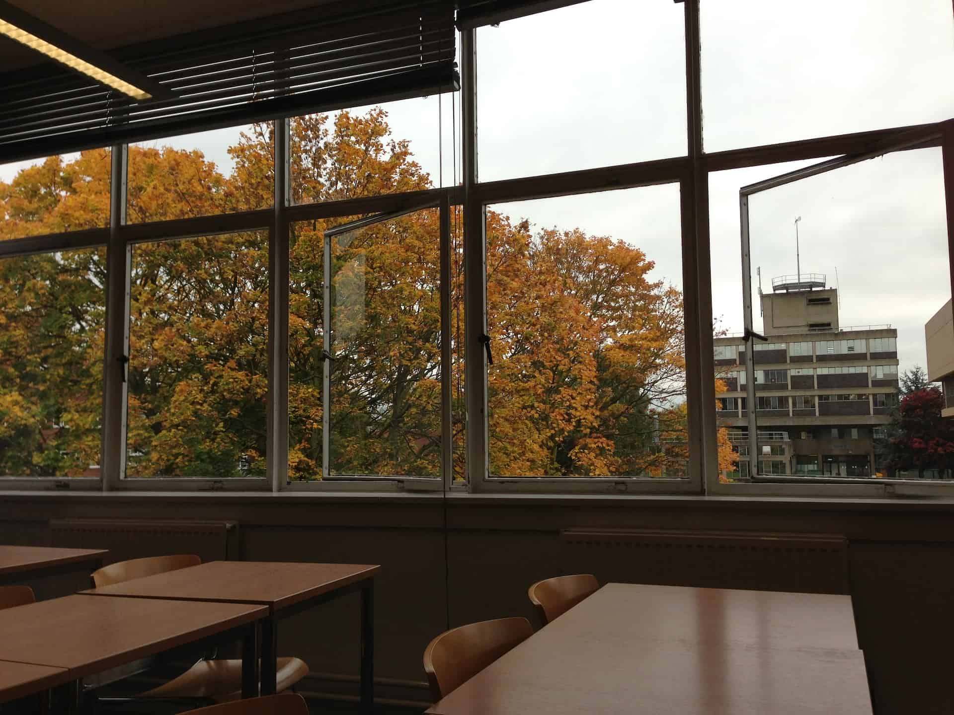 Empty classroom looking out of windows