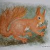 Illustration of ginger squirrel