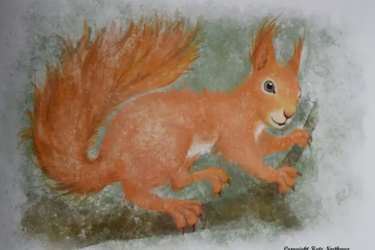 Illustration of ginger squirrel