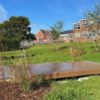 A swale at Nettlestone Primary School