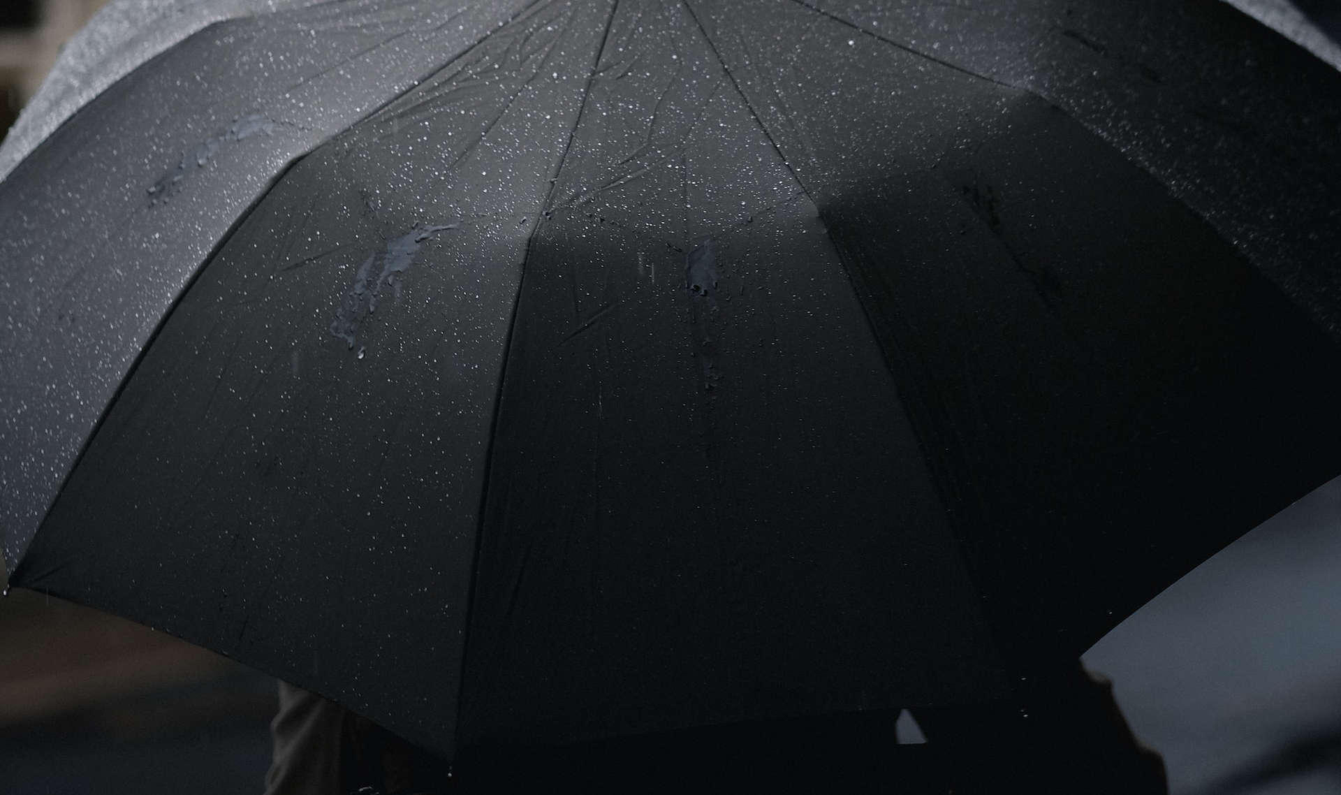 Person under black umbrellas by craig whitehead