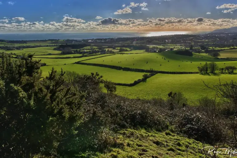 landscape view of sandown from brading downs by Roger J Millward