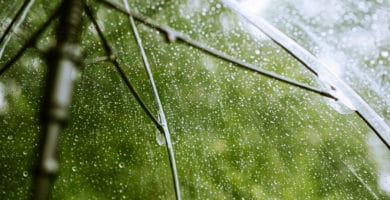 rain coming through see through umbrella