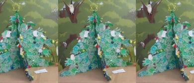 Godshill Primary Christmas Tree