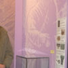 Richard Smout at the Museum of Island History