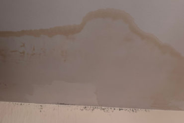 The water damage caused to Mrs Henderson's flat in Alresford Lodge
