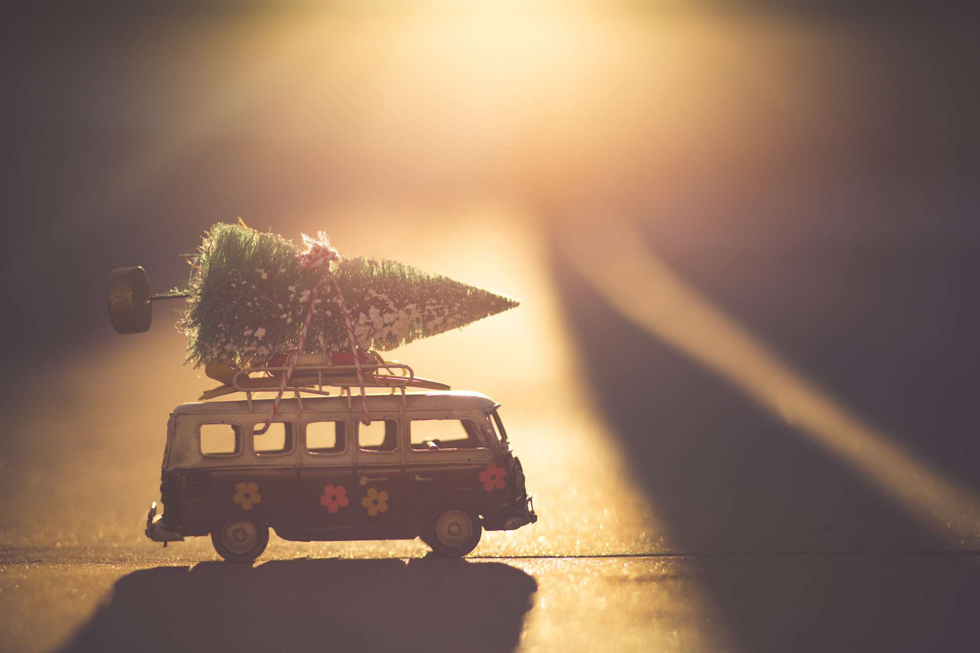 Toy campervan with christmas tree strapped to the top of it