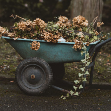 wheelbarrow filled with garden waste