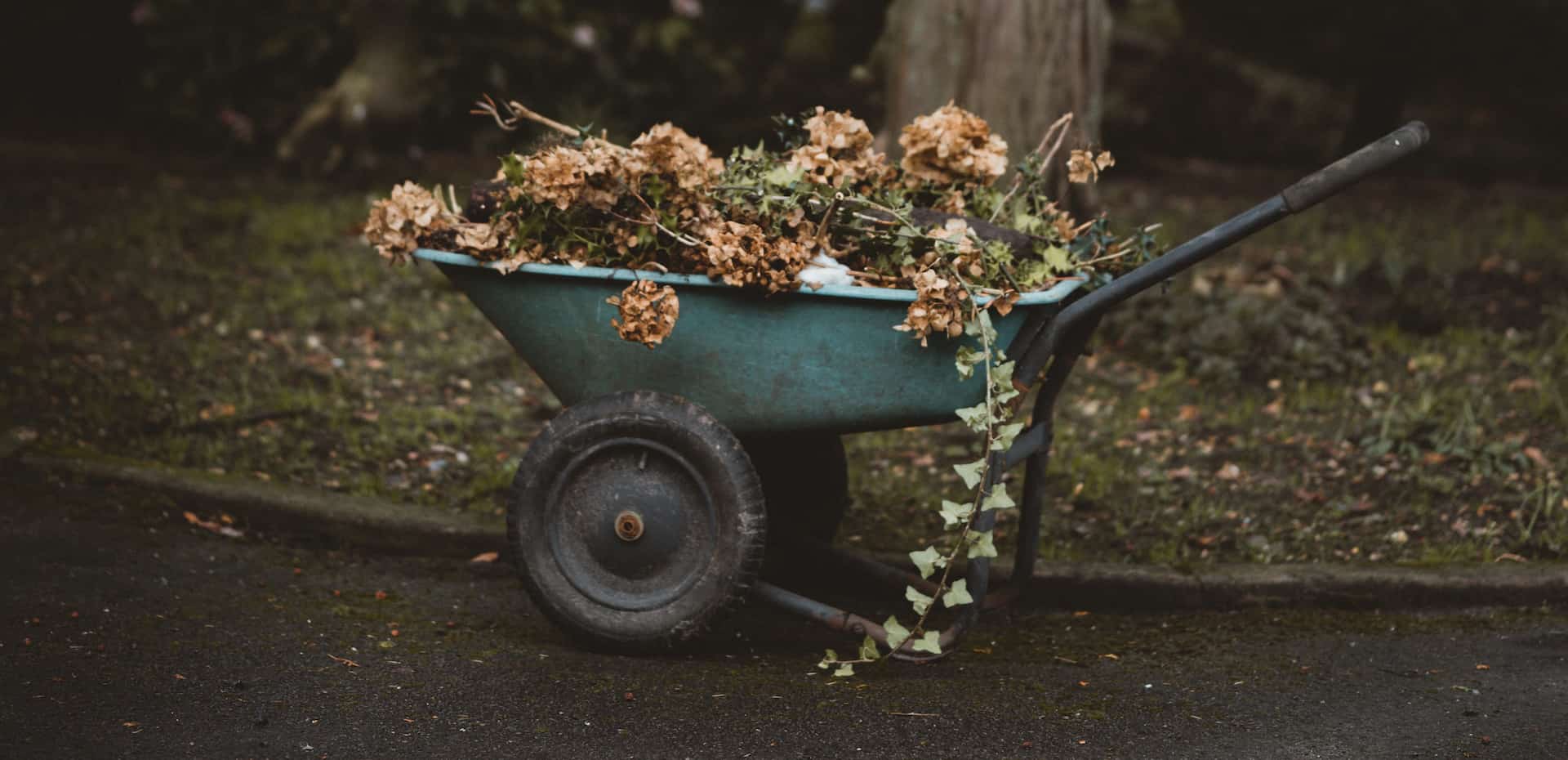 wheelbarrow filled with garden waste