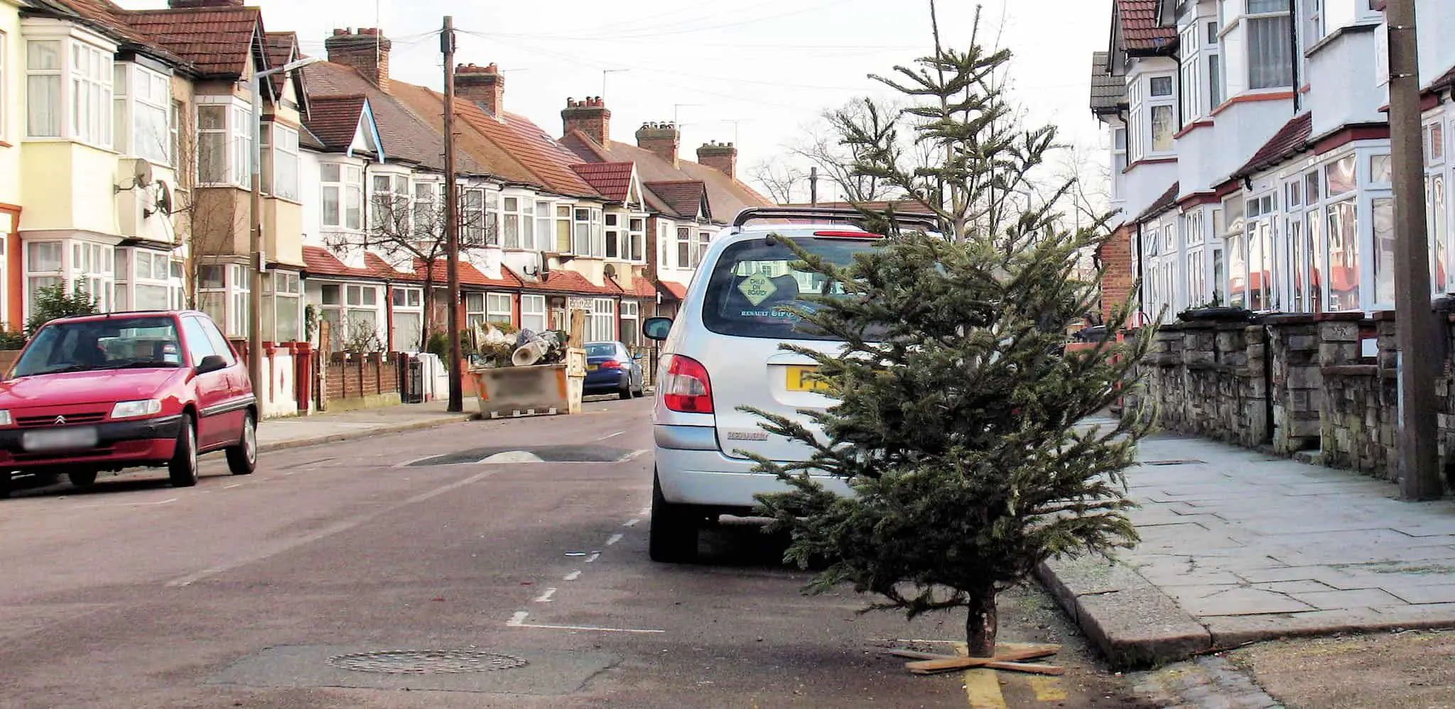 Christmas tree on the roadside