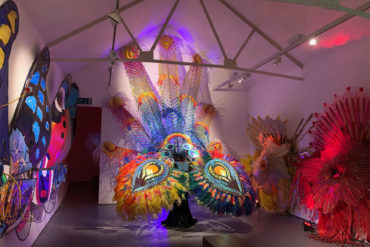 Ad Astra exhibition at Quay Arts showing carnival costumes that are related to birds and flight