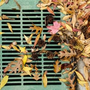 Leaves by drainage grate