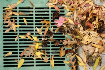 Leaves by drainage grate