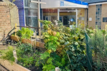 Vegetable patch at Newport Congregational Church