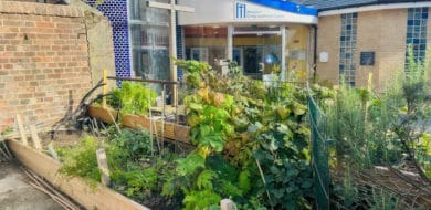 Vegetable patch at Newport Congregational Church