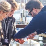 UKSA pupils working on the first oyster regeneration project