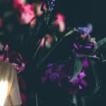 bouquet of dark flowers with dark background by annie-spratt with David Bartlett