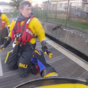 cat jumping to rescue