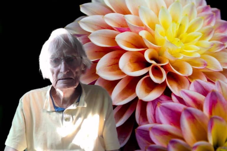 Flower with dark background with David Bartlett