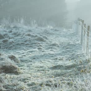 misty and icy morning by annie spratt