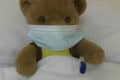 teddy in bed with face mask on and thermometer under arm