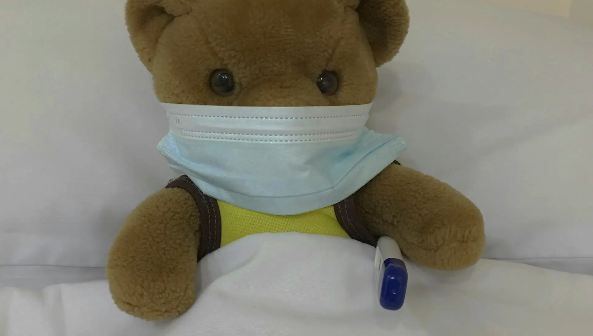 teddy in bed with face mask on and thermometer under arm