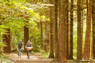 Couple cycling through woodland