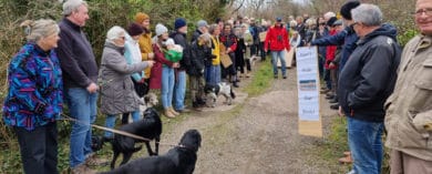 Harbour Farm protesters