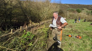 Phil Hart IW Hedgelaying champion 2020 new