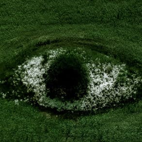 aerial view of eye shaped break in green field