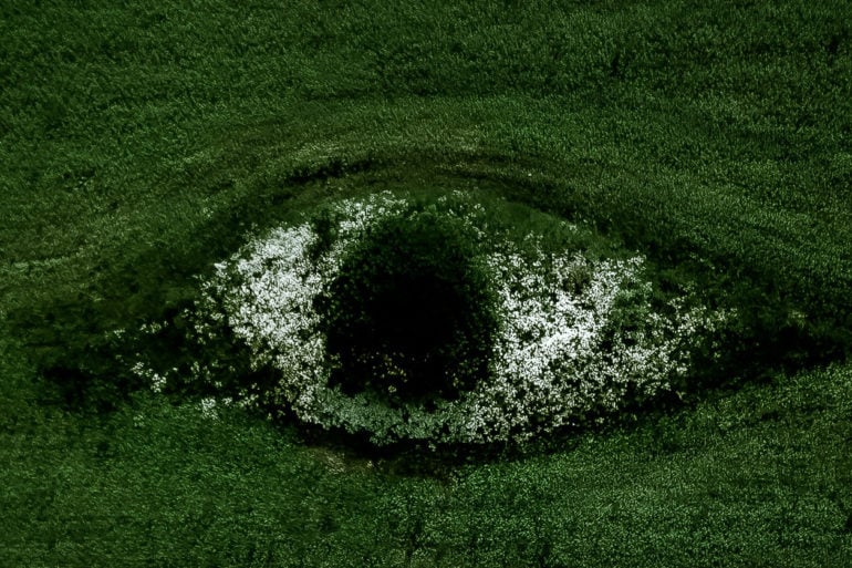 aerial view of eye shaped break in green field