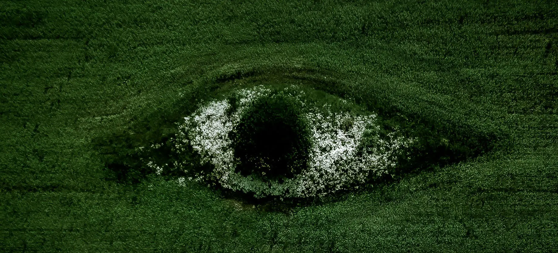 aerial view of eye shaped break in green field