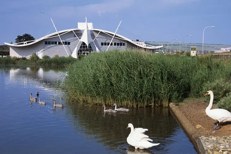 Dinosaur Isle exterior with swans in foreground