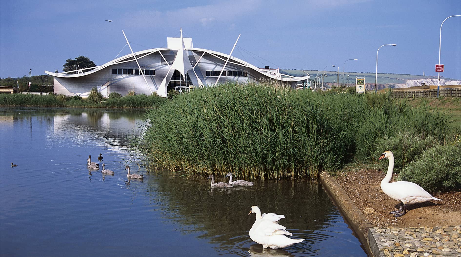 Dinosaur Isle exterior with swans in foreground