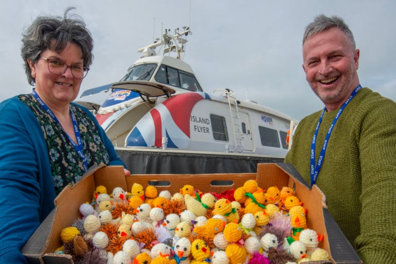 Sight For Wight Easter Chicks and Hedgehogs