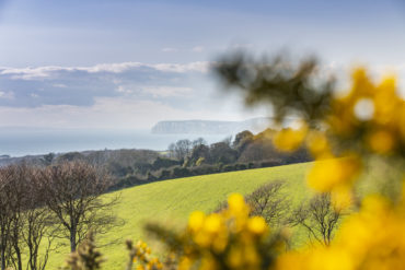 Spring landscape showing green field and sea in the background