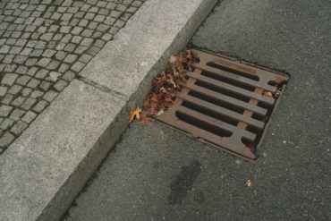 drain cover with leaves