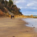 two people with a dog walking along Priory Bay beach - IW Ramblers
