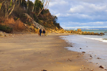 two people with a dog walking along Priory Bay beach - IW Ramblers