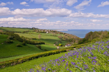 Rural scene on the Isle of Wight