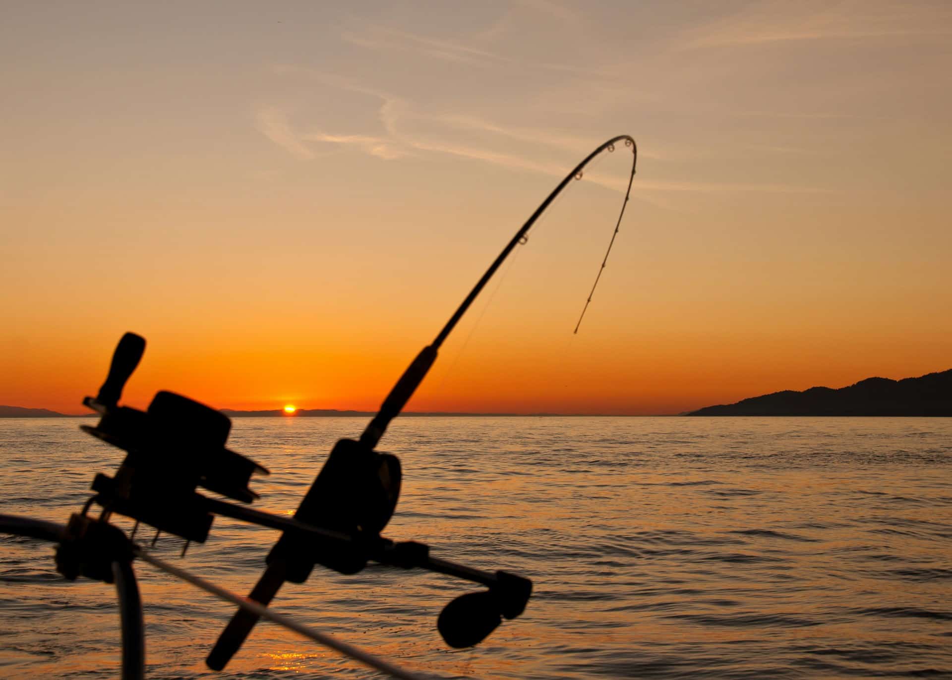 Silhouette of fishing rod with sunset and sea in background