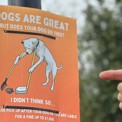 dog fouling poster in ryde cropped