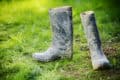 A pair of wellies on the lawn