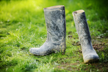 A pair of wellies on the lawn