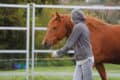 Bodster CIC horse and person with hoodie